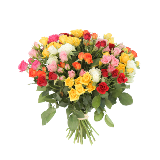 Букет из 25 разноцветных кустовых роз 35 см