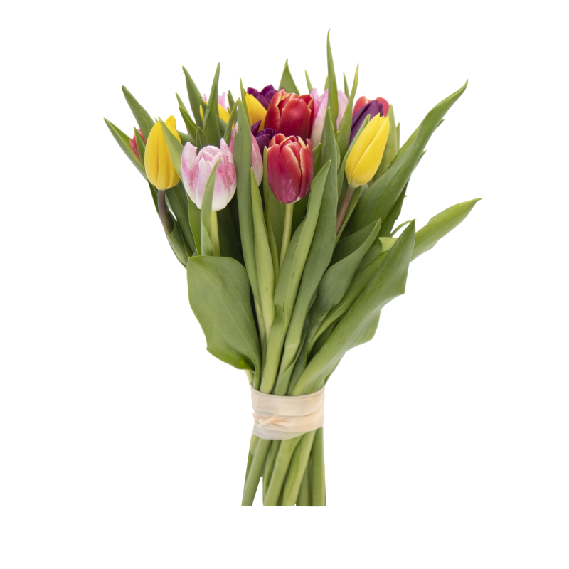 Букет из 15 тюльпанов микс фото