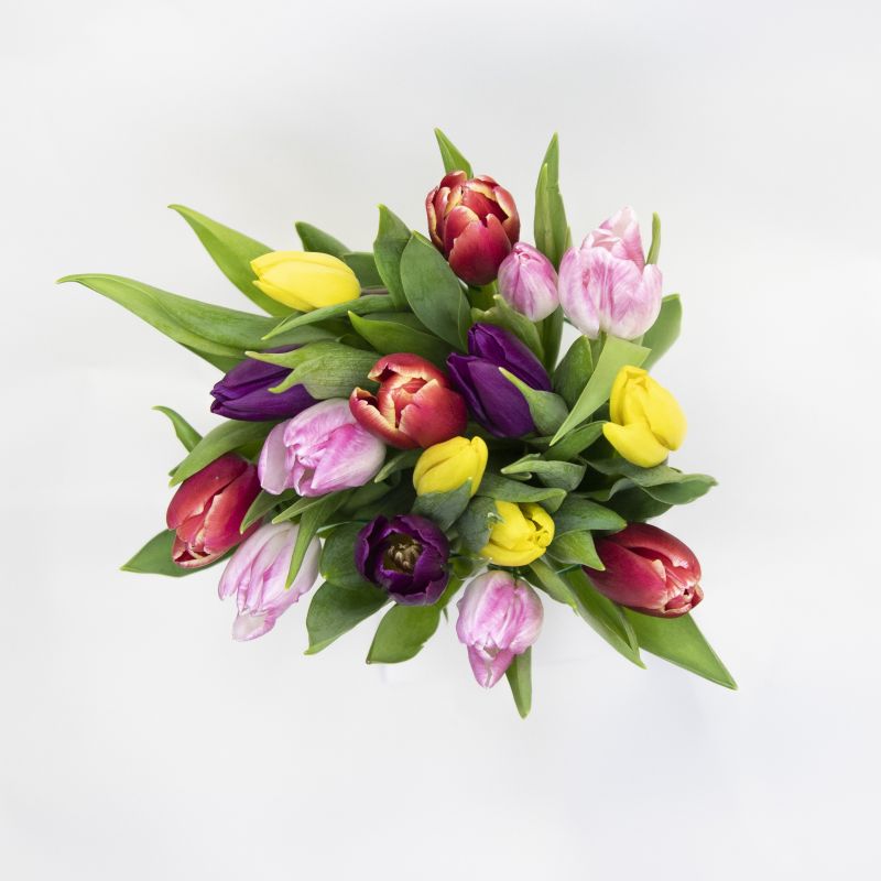Букет из 15 тюльпанов микс фото