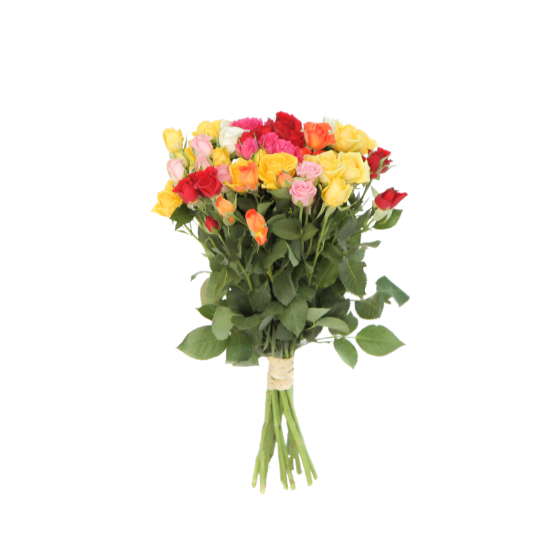 Букет из 15 разноцветных кустовых роз 35 см фото