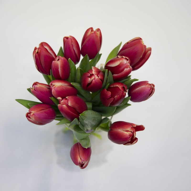 Букет красных тюльпанов фото